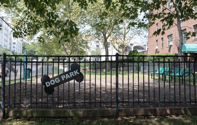 Dog Park
