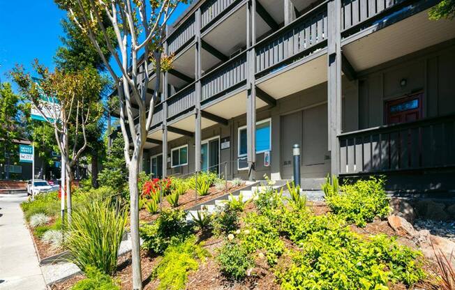 Courtyard With Green Space at 1038 on Second, California, 94549