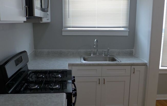 2 beds, 1 bath, $1,325, Unit 2048 Kostner - 1A