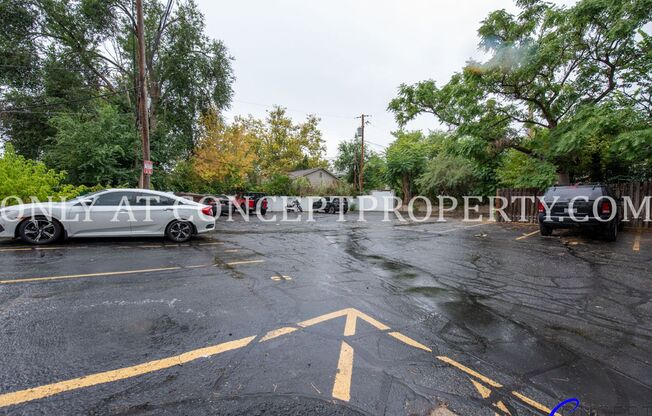 1 bed, 1 bath, 341 sqft, $1,299, Unit 3C