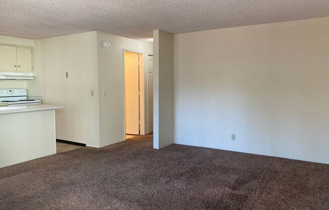 purvis07 3185 Willamette St