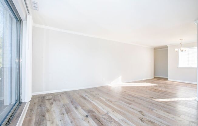 Renovated 2 Bed on Bladensburg Rd. NE!  Apply Today!