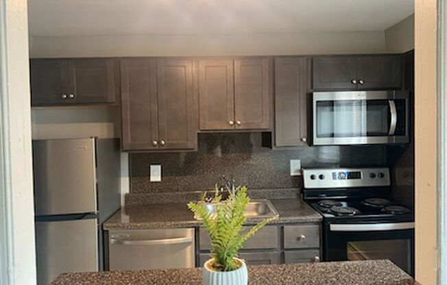 1 bed, 1 bath, 725 sqft, $1,350, Unit D12