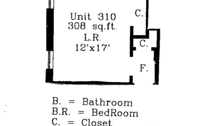 Studio, 1 bath, 308 sqft, $1,200, Unit Bayard Manor 310