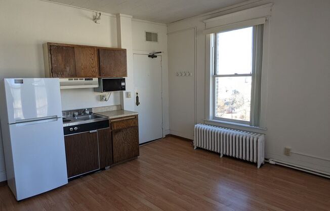 Studio, 1 bath, 245 sqft, $470, Unit 523