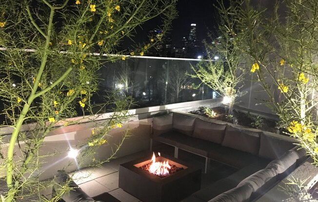 Rooftop Fire Pit