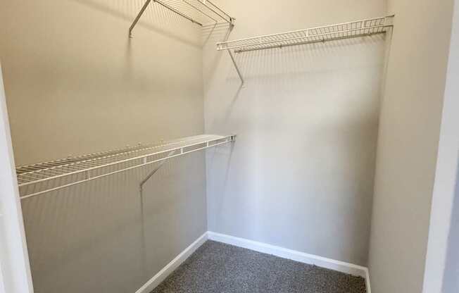 Empty walk in closet with white walls and grey carpet.