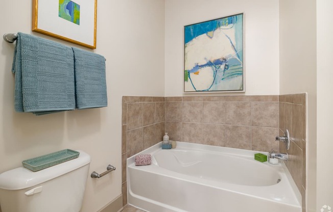 a bathroom with a tub and a toilet and a sink