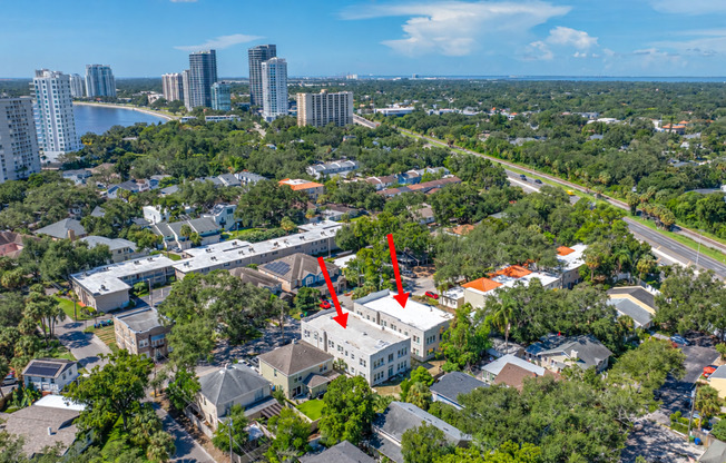 Charming Renovated 1BR/1BA located Steps Away from Bayshore Blvd.