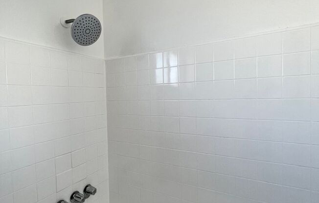 Studio, 1 bath, $1,595, Unit 24