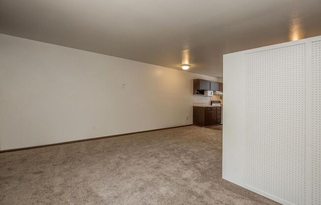 Studio, 1 bath, 424 sqft, $1,270, Unit 101