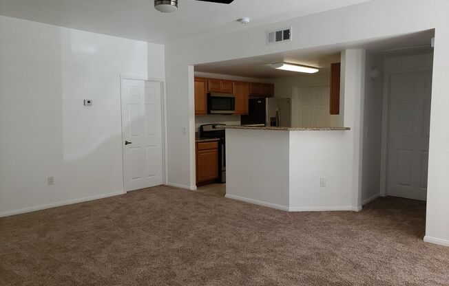 10001 Peace Way #1335