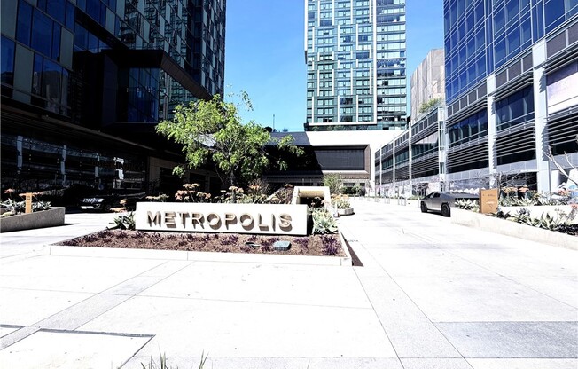 Studio, 1 bath, 480 sqft, $3,900, Unit 3105