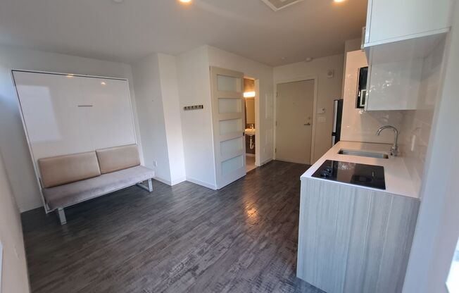 Studio, 1 bath, 244 sqft, $1,233, Unit 304