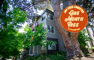 Stylish + Contemporary 1-Bedroom in Sellwood w/ FREE RENT!