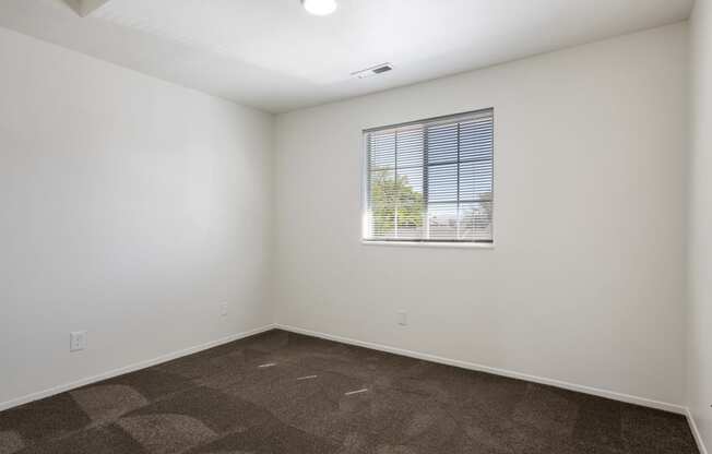 an empty room with carpet and a window
