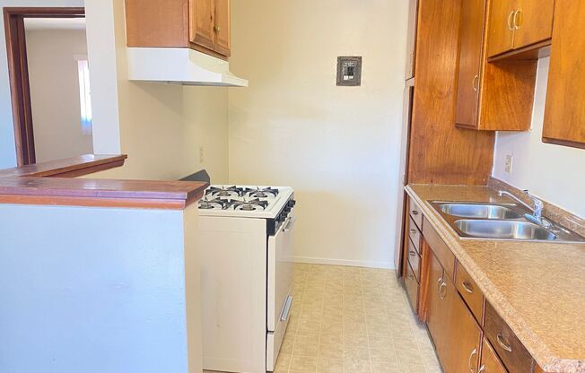 Olive Tree Apartments