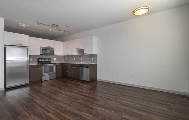 Kitchen and Living Area with Hard Surface Flooring