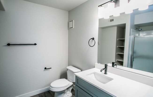 a bathroom with a toilet sink and mirror