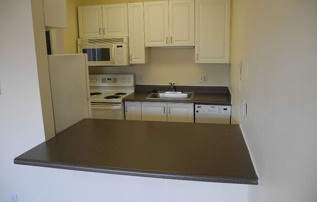 Studio, 1 bath, 418 sqft, $1,595, Unit R-105