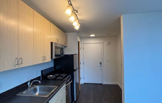 Studio, 1 bath, 262 sqft, $1,350, Unit 203