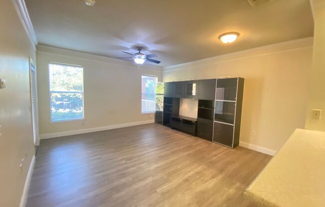 1 bed, 1 bath, $1,599, Unit UNIT 206