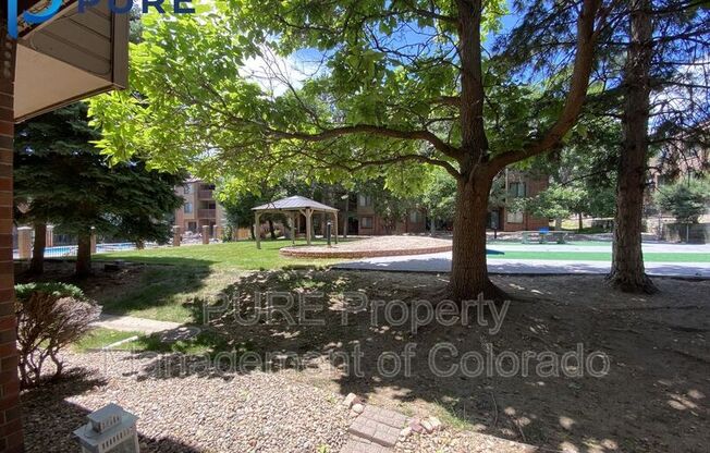 2 beds, 1 bath, $1,800