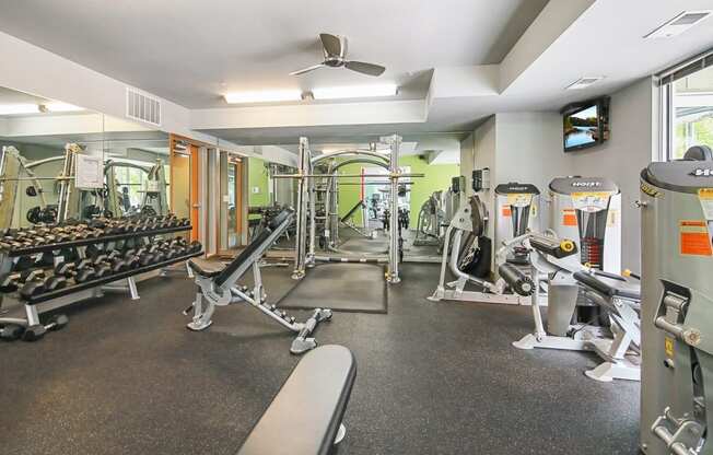 the gym at the flats at big tex apartments