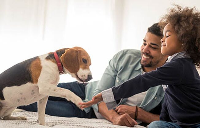 2 beds, 2 baths, 1,050 sqft, $1,399, Unit 2226I