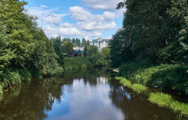 Views of Bothell from the Sammamish River Trail