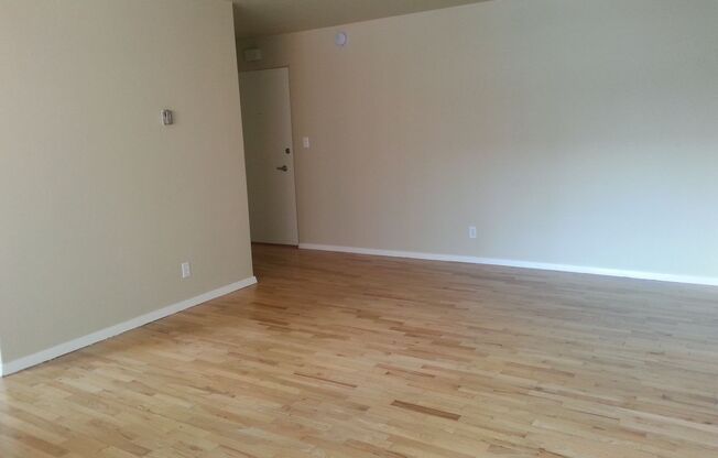 1 bed, 1 bath, 558 sqft, $1,435, Unit 107