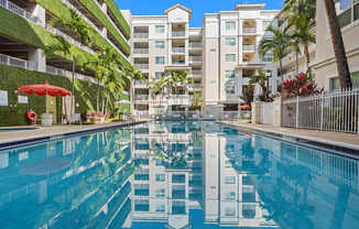 Monteverde at Renaissance Park