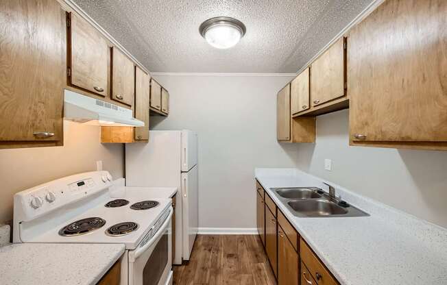 Electric kitchen with a stove, sink and refrigerator