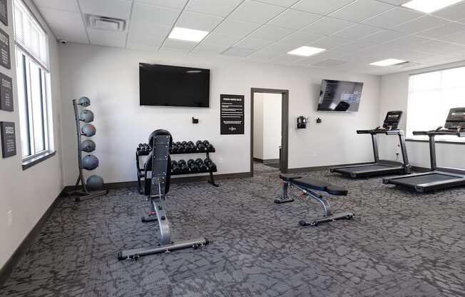 A gym with a variety of equipment including treadmills, weights, and a television.