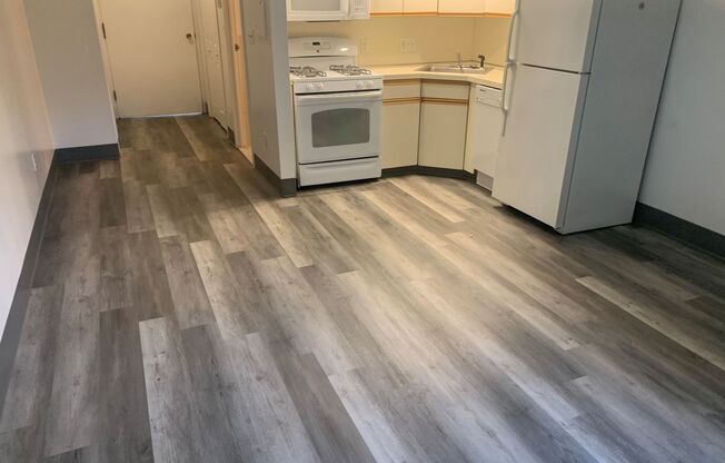 Studio, 1 bath, 358 sqft, $1,695, Unit 314