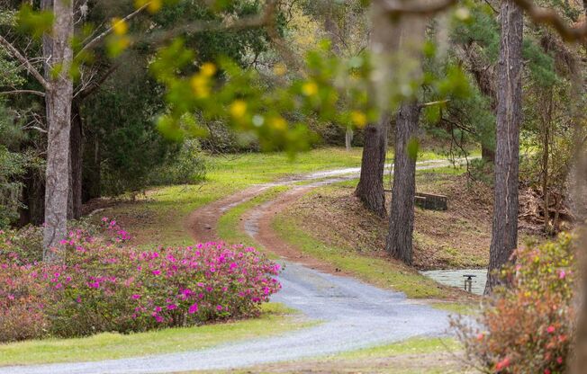 Sprawling Furnished Estate Home on the Ashley River