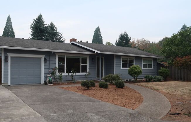Perfect 4 Bed 2 Bath w/ Finished Basement and Fenced Yard!