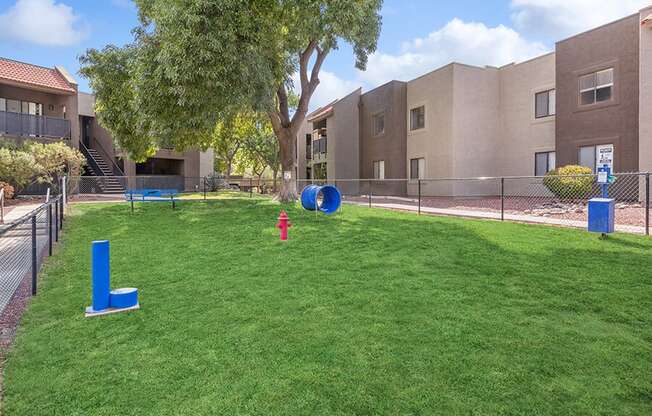 Community Dog Park with Agility Equipment at Saddle Ridge Apartments in Tucson, AZ.