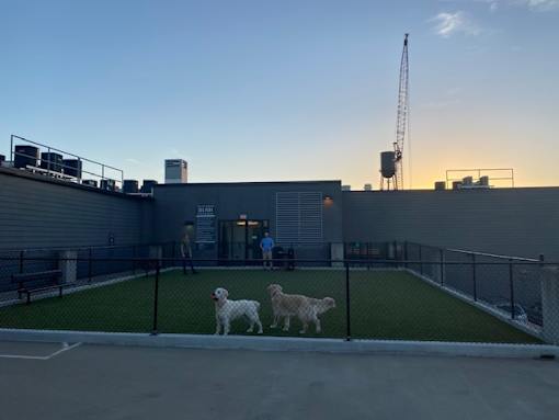 Luxury North Nashville Apartments for Rent