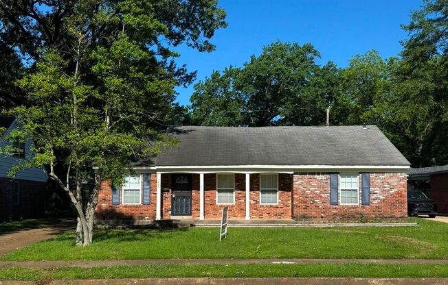 Sea Isle- Newly Renovated 3 BR/2 BA with Privacy Fence and Single Garage