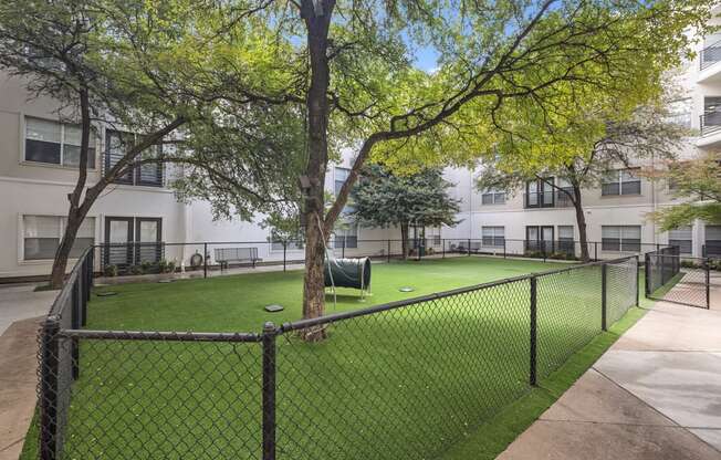 Apartments in East Dallas for rent 