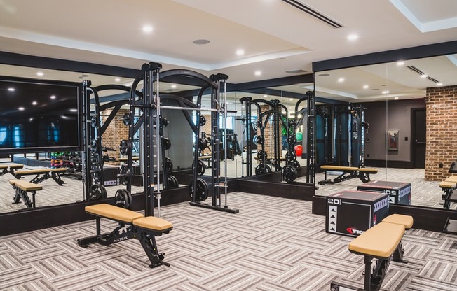 Fitness Studio with Cardio & Weight Stations