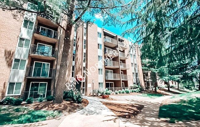 60 S Van Dorn St Unit 309