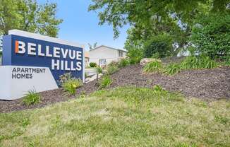 Bellevue Hills