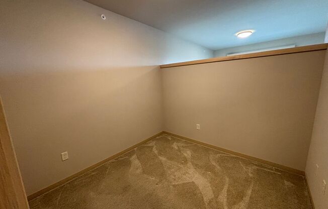 Studio, 1 bath, 557 sqft, $1,565, Unit 104-311