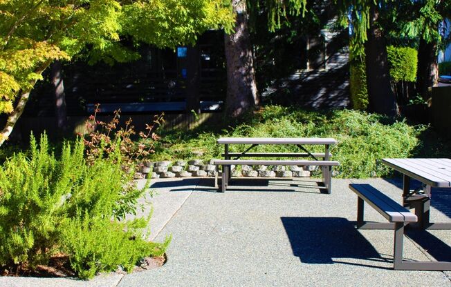 Lewison Place Apartments