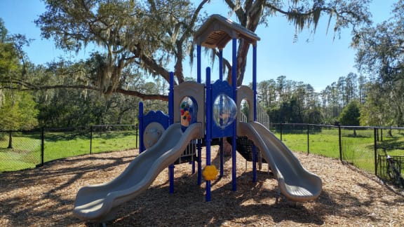 Newer community playground at The Columns at Bear Creek, New Port Richey, 34654