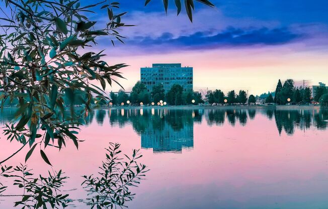 Studio, 1 bath, 346 sqft, $1,695, Unit 410-611