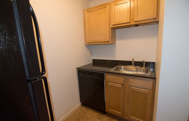 Studio, 1 bath, $950