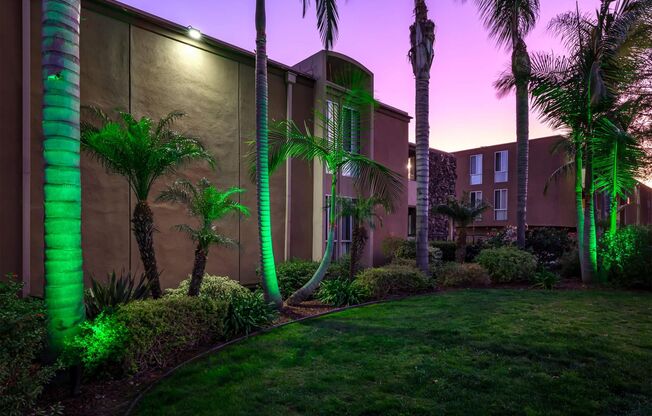 Dorchester Apartments | Spacious 1 & 2 Bedroom Apartments Near SDSU